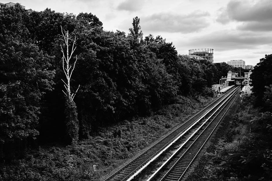 A black and white photograph showing railway tracks running parallel through a semi-urban area, surrounded by dense trees and foliage on either side. The trees on the left include a tall, leafless tree contrasting with the lush leafy trees nearby. In the background, there are industrial structures and buildings, including a construction scaffold or framework on a tall building, and additional low-rise buildings further in the distance under a cloudy sky. The railway tracks are clear and well-defined, with adjacent platforms or loading areas not visible, but the scene suggests proximity to a station or transport hub. The image does not depict any furniture, boxes, or moving equipment directly, but the scene’s alignment with logistics and transport makes it relevant to home relocation or furniture transport concepts, such as those provided by Man and Van Colliers Wood, supporting services like removals and moving logistics.